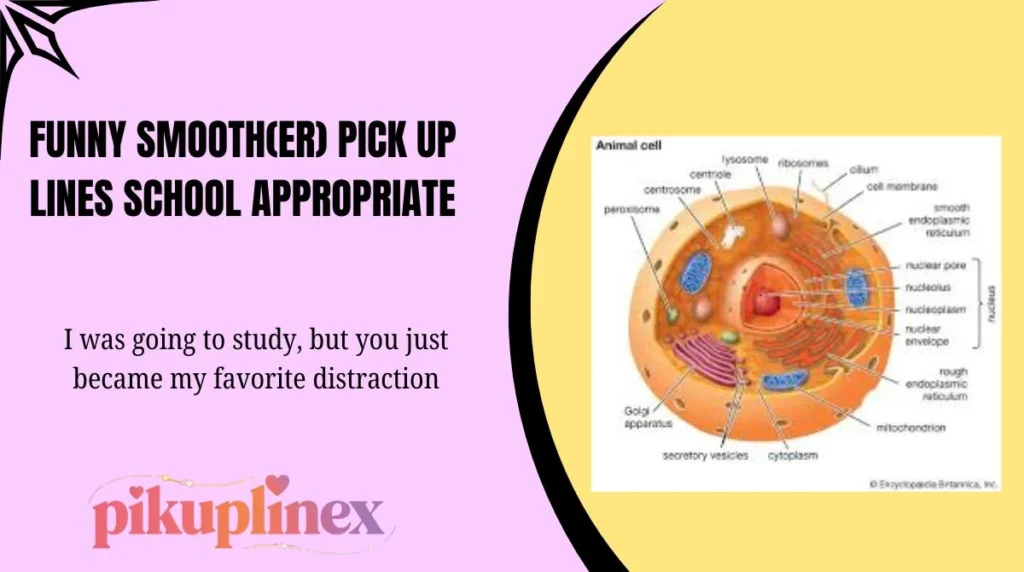 Funny Smooth(er) Pick Up Lines School Appropriate
