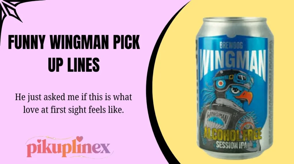 Funny Wingman Pick Up Lines
