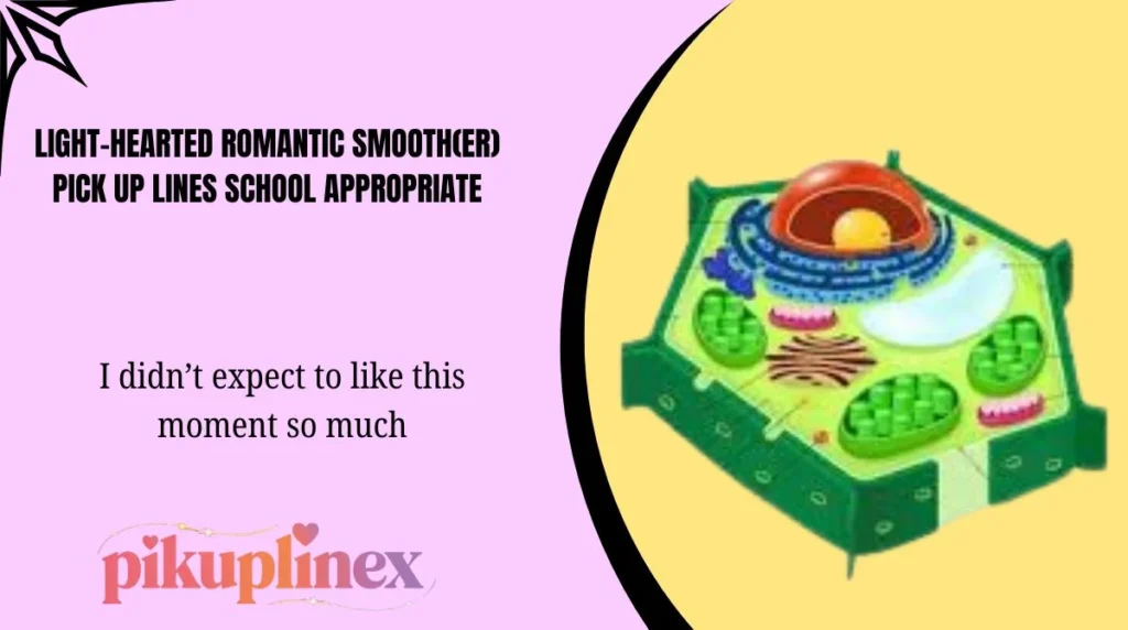 Light-Hearted Romantic Smooth(er) Pick Up Lines School Appropriate