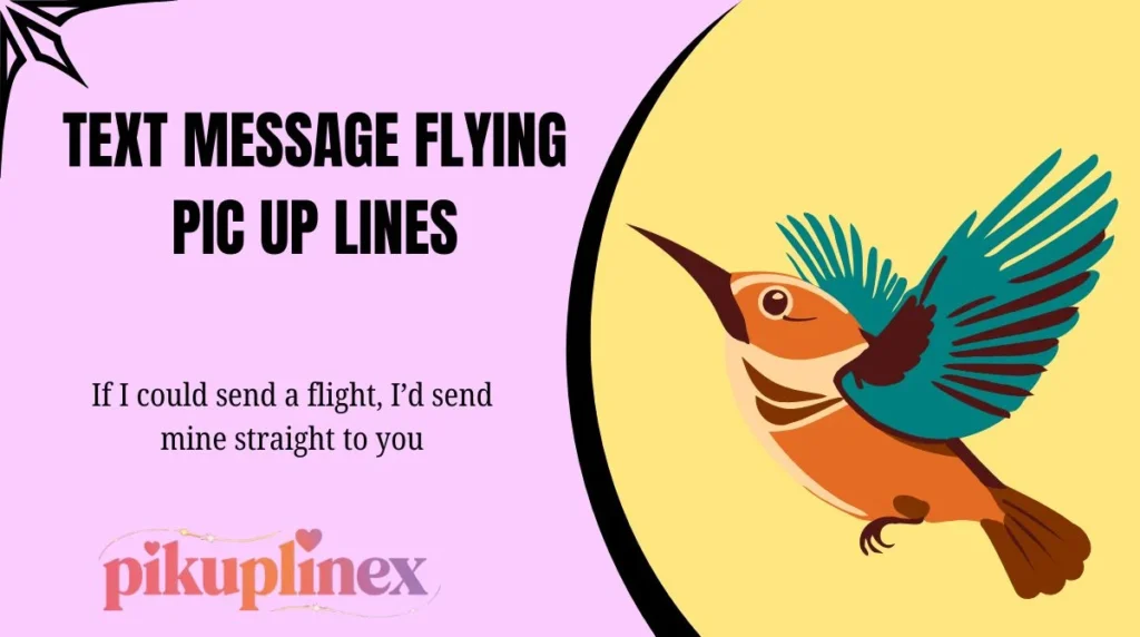 Text Message Flying Pic Up Lines