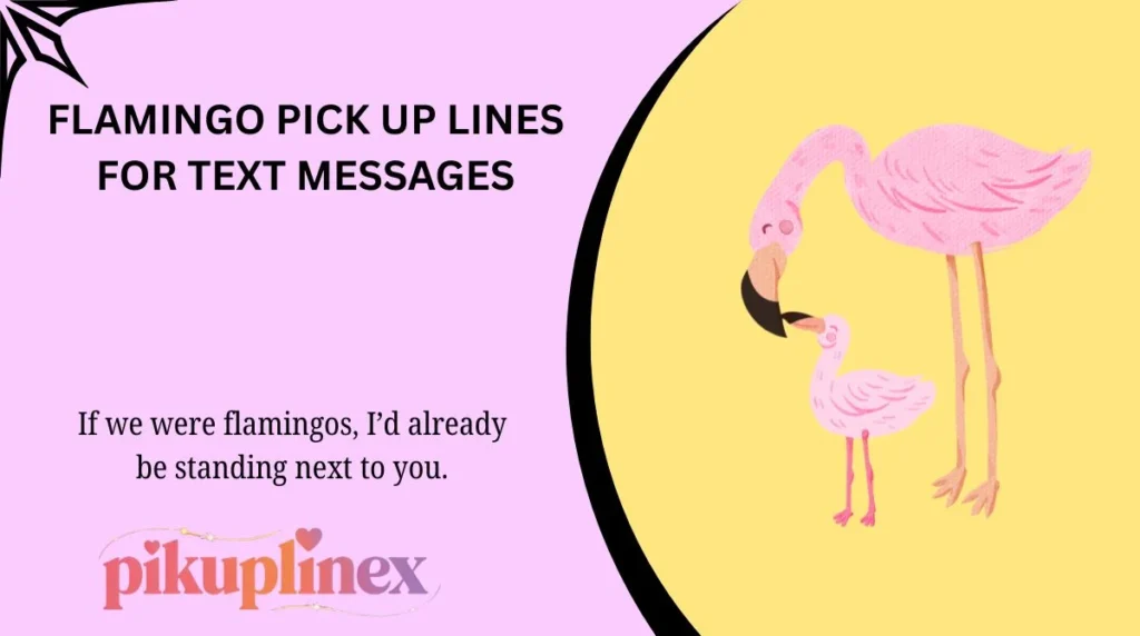 Flamingo Pick Up Lines for Text Messages
