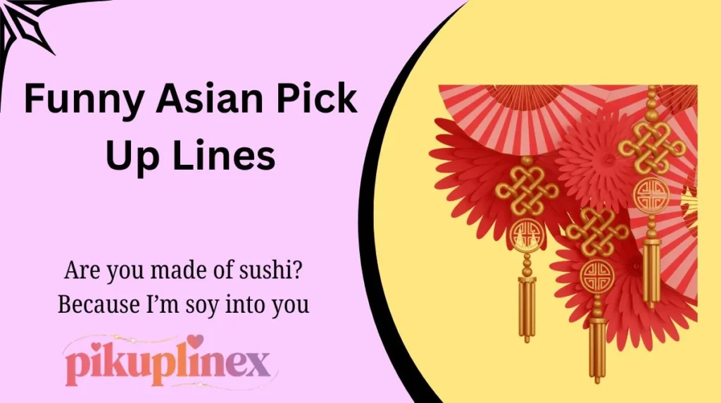 Funny Asian Pick Up Lines