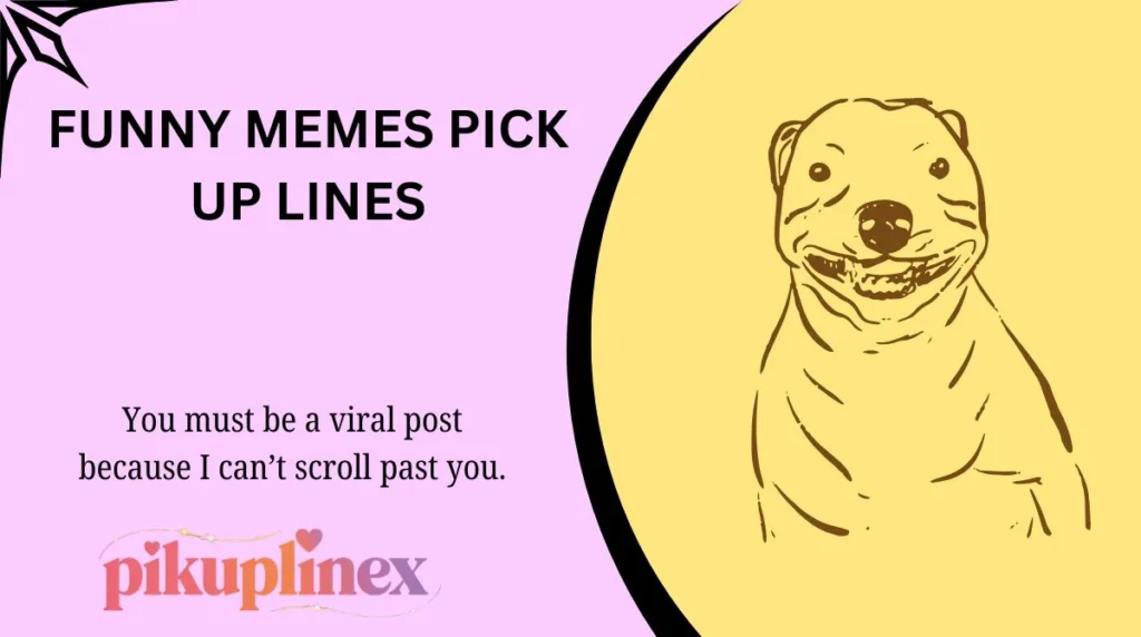 Funny memes pick up lines