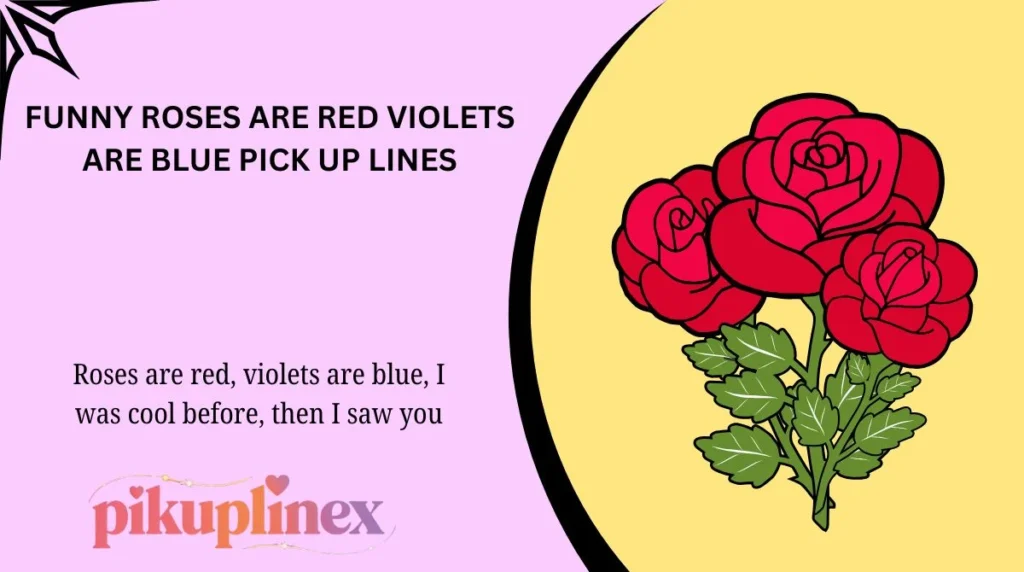Funny Roses Are Red Violets Are Blue Pick Up Lines