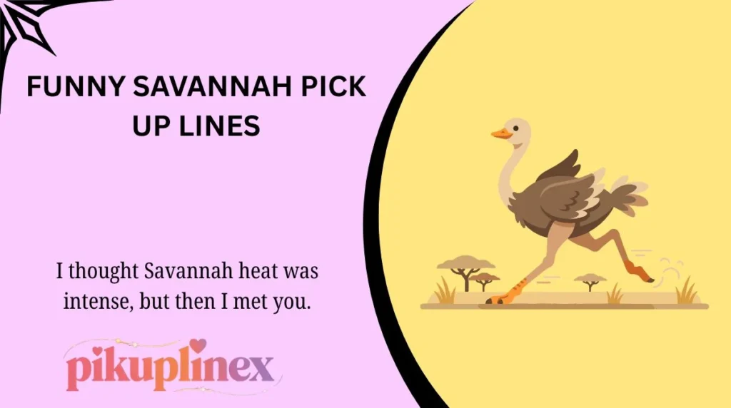 Funny Savannah Pick Up Lines