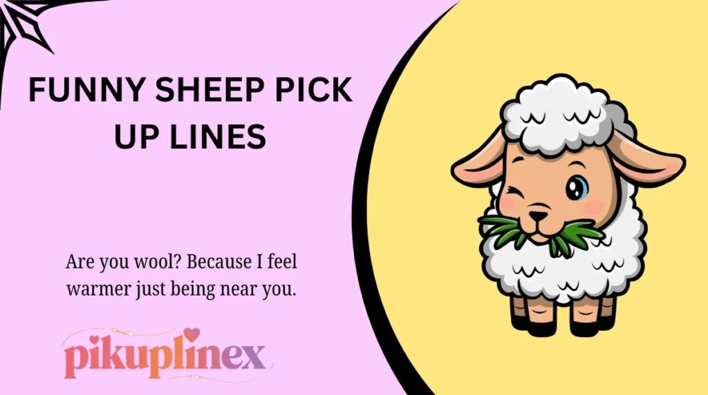 Funny Sheep Pick Up Lines