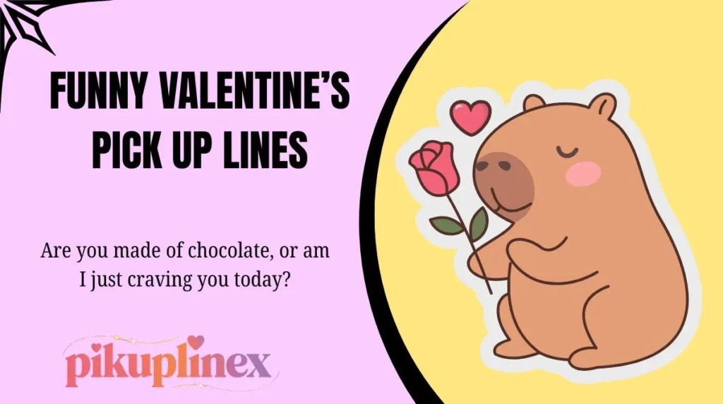 Funny Valentine’s Pick Up Lines