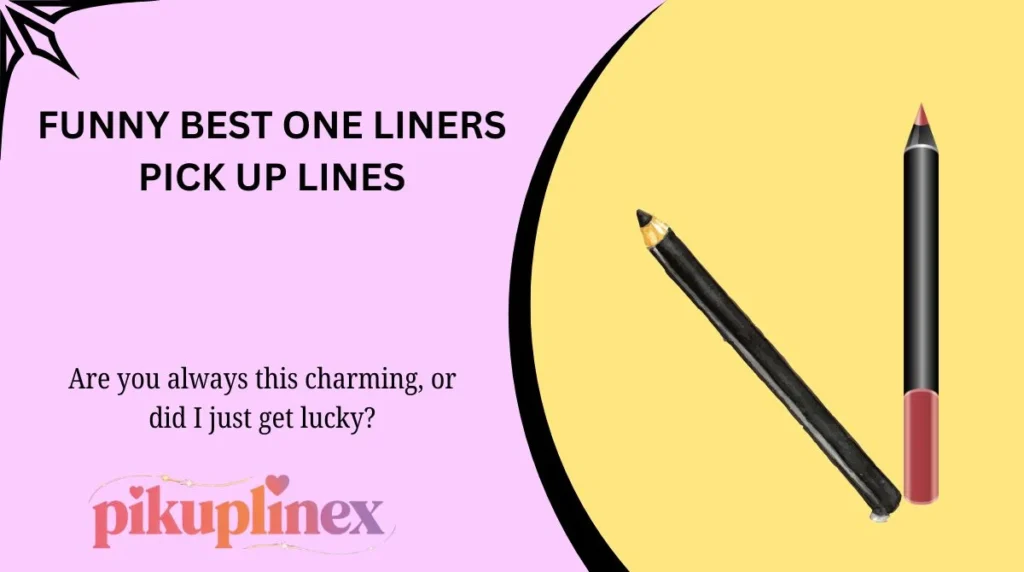 Funny Best One Liners Pick Up Lines