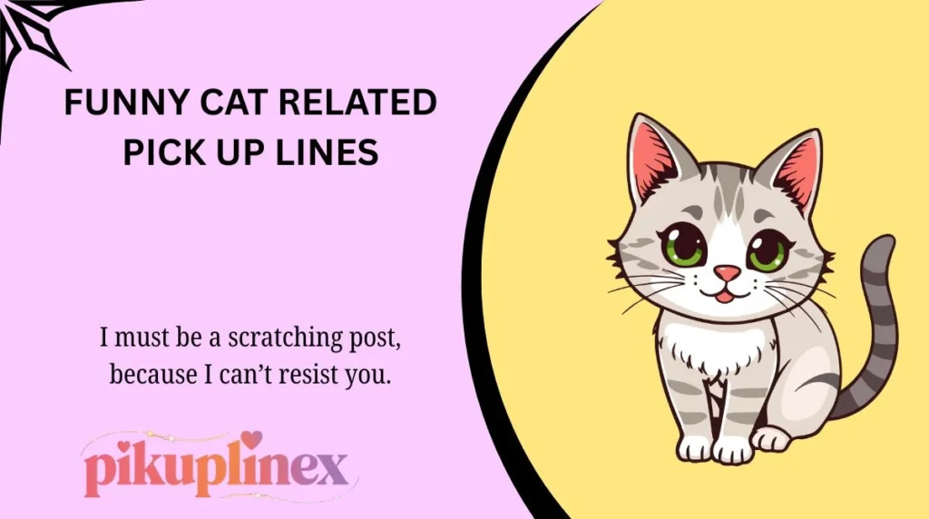 Funny Cat Related Pick Up Lines