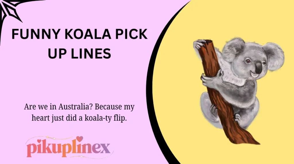 Funny Koala Pick Up Lines