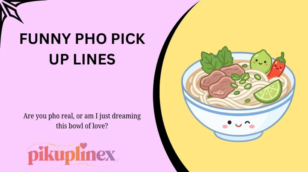 Funny Pho Pick Up Lines