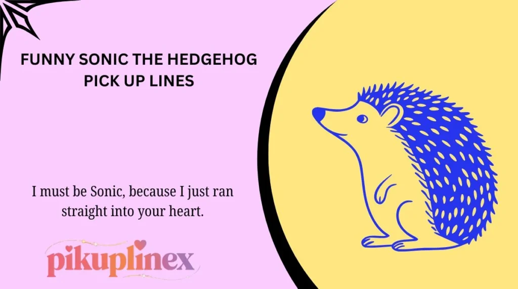 Funny Sonic the Hedgehog Pick Up Lines