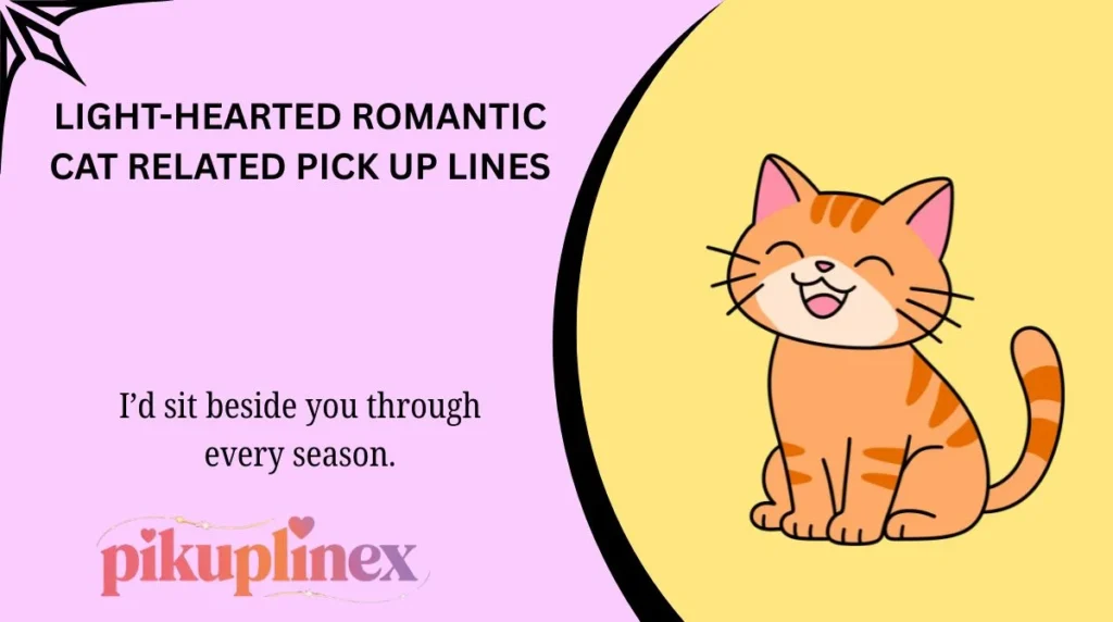 Light-Hearted Romantic Cat Related Pick Up Lines