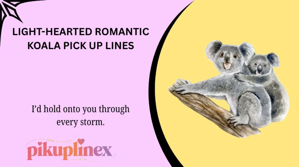 Light-Hearted Romantic Koala Pick Up Lines