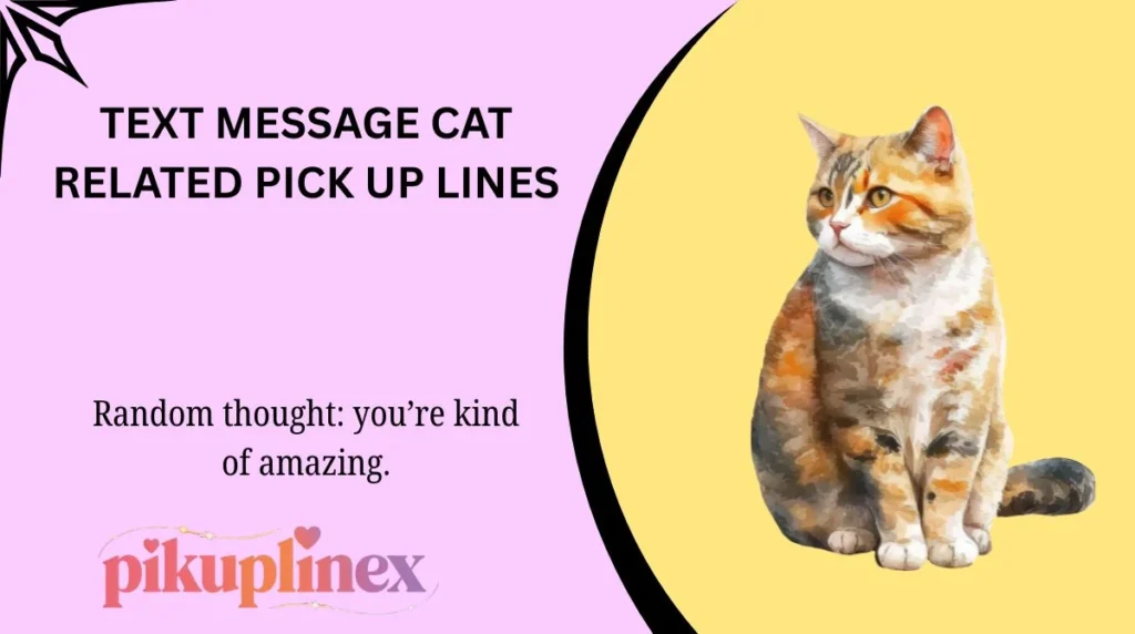 Text Message Cat Related Pick Up Lines