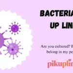Bacteria Pick Up Lines