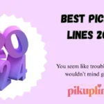 Best Pick Up Lines 2024