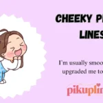 Cheeky Pick Up Lines