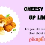Cheesy Pick Up Lines