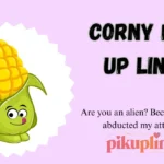 Corny Pick Up Lines