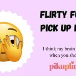 Flirty Funny Pick Up Lines