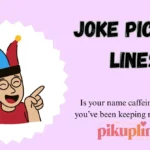 Joke Pick Up Lines
