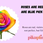 Roses Are Red Violets Are Blue Pick Up Lines