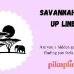 Savannah Pick Up Lines