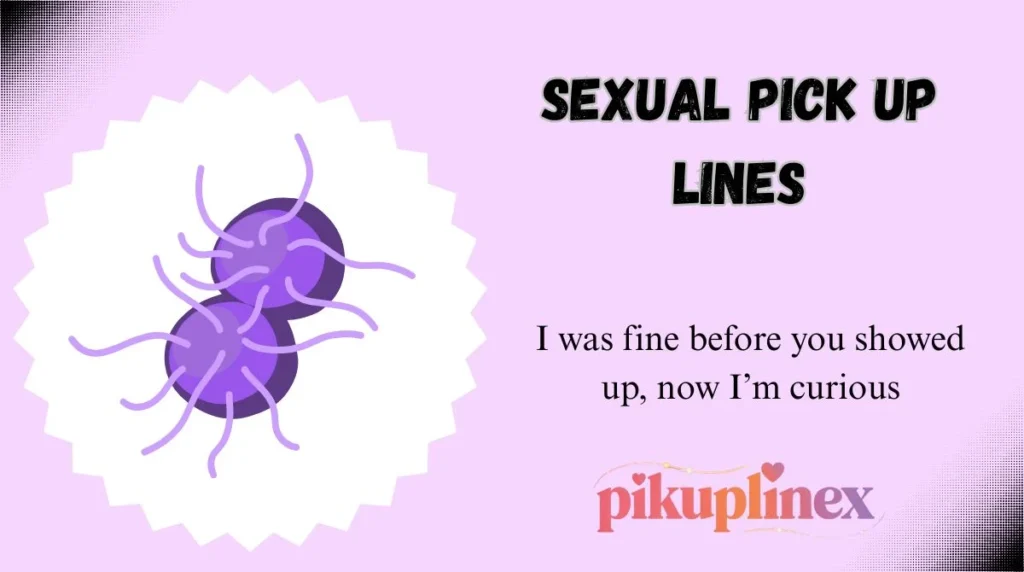 Sexual Pick Up Lines