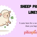 Sheep Pick Up Lines