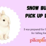 Snow Bunny Pick Up Lines