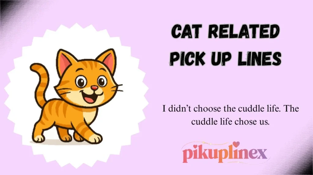 Cat Related Pick Up Lines