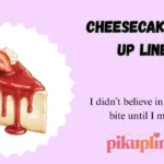 Cheesecake Pick Up Lines