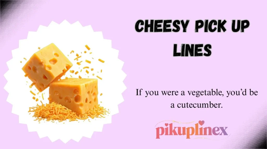 Cheesy Pick Up Lines