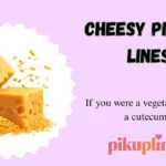 Cheesy Pick Up Lines
