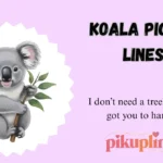Koala Pick Up Lines