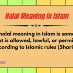 Halal Meaning in Islam