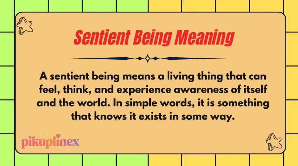 Sentient Being Meaning