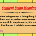 Sentient Being Meaning