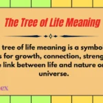 The Tree of Life Meaning